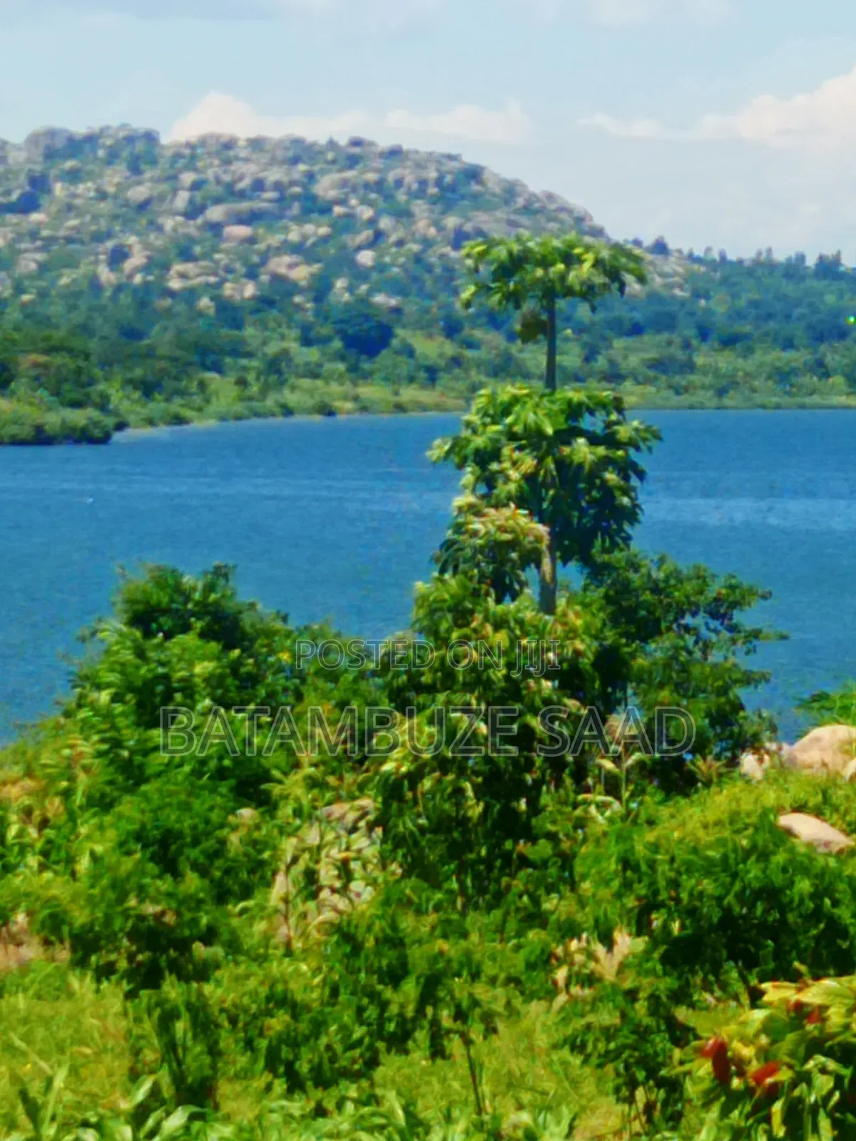 15 Acres of Farm Land on Lake Victoria Shores in Mayuge