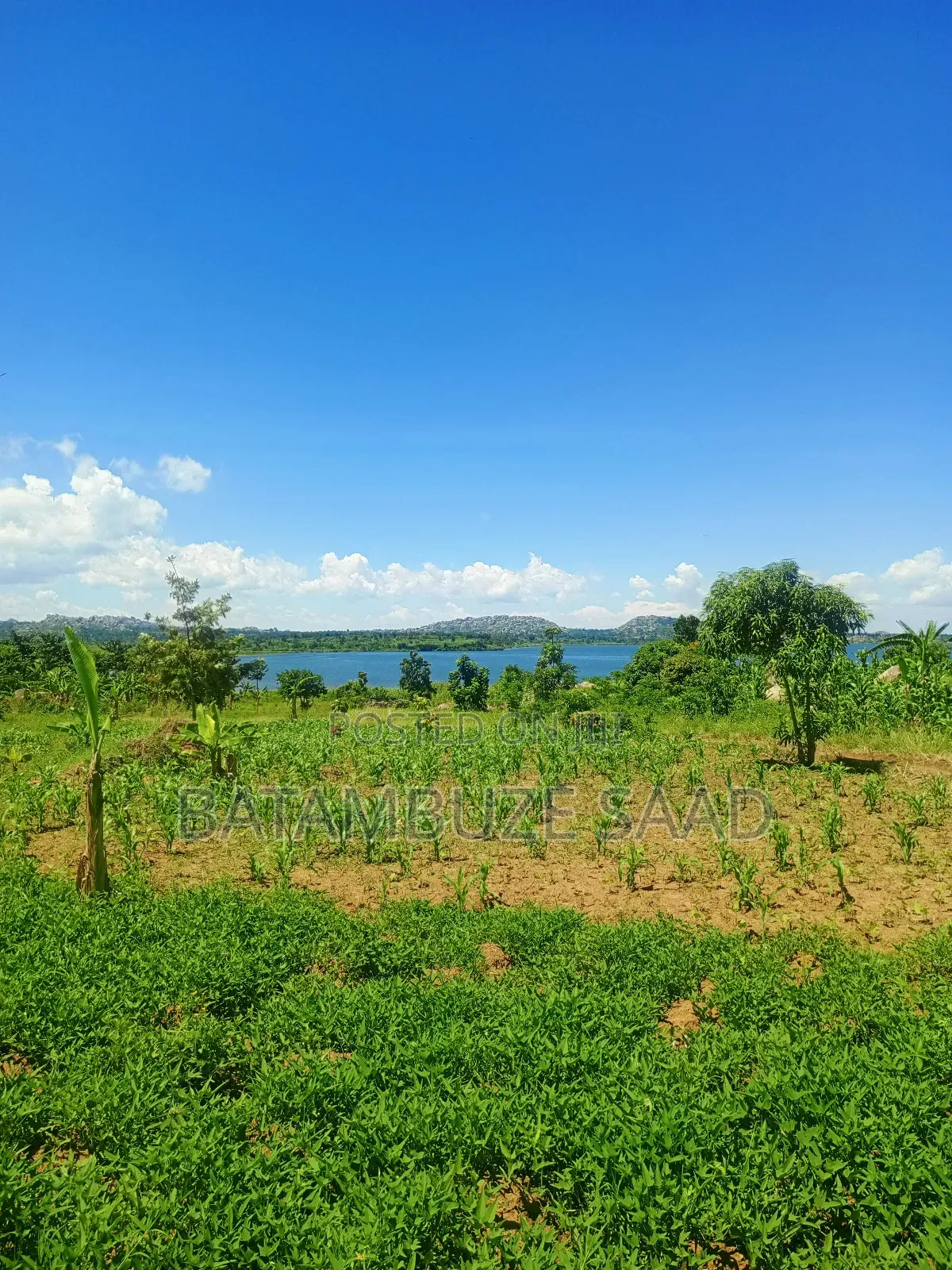 15 Acres of Farm Land on Lake Victoria Shores in Mayuge