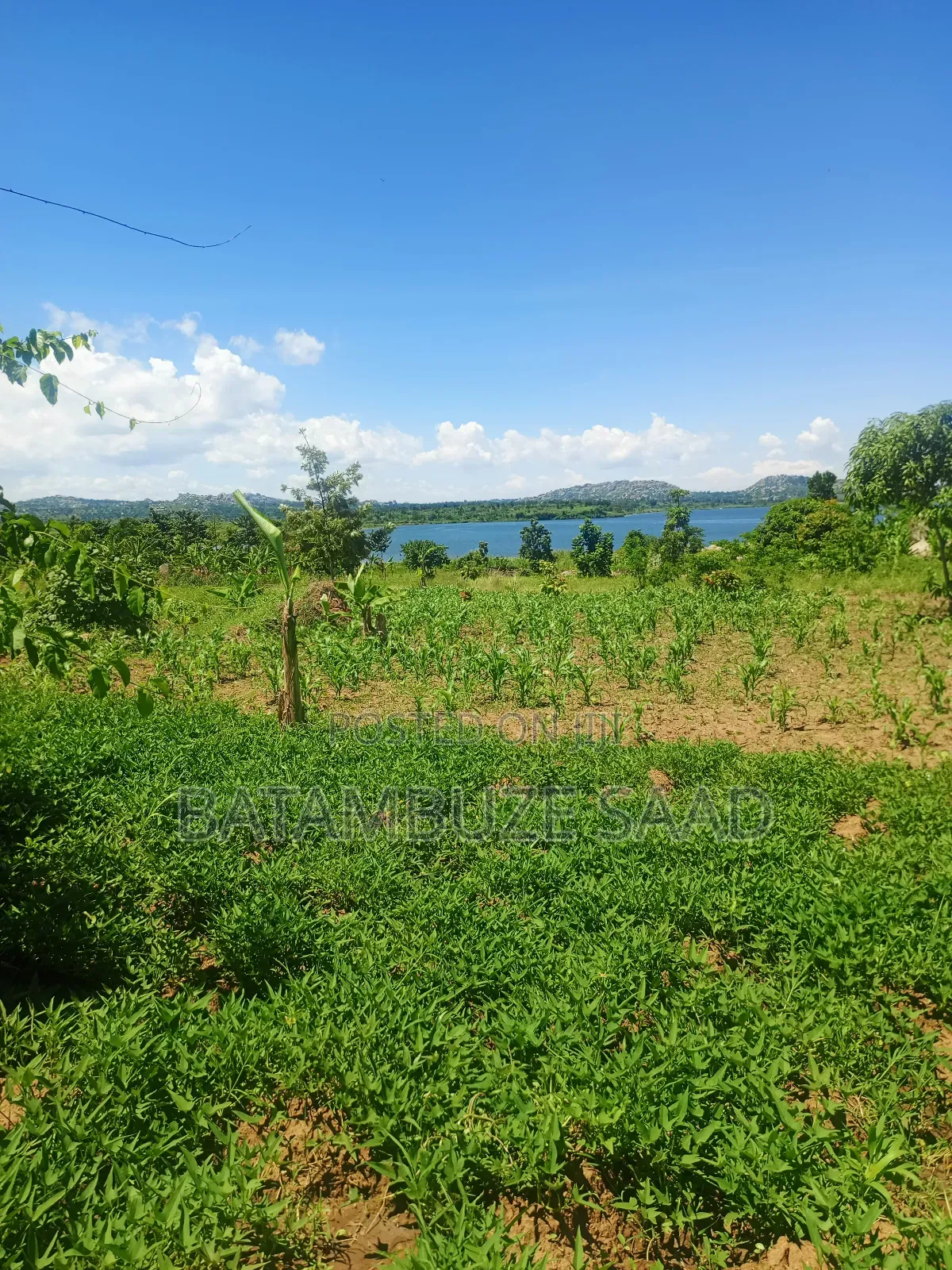 15 Acres of Farm Land on Lake Victoria Shores in Mayuge