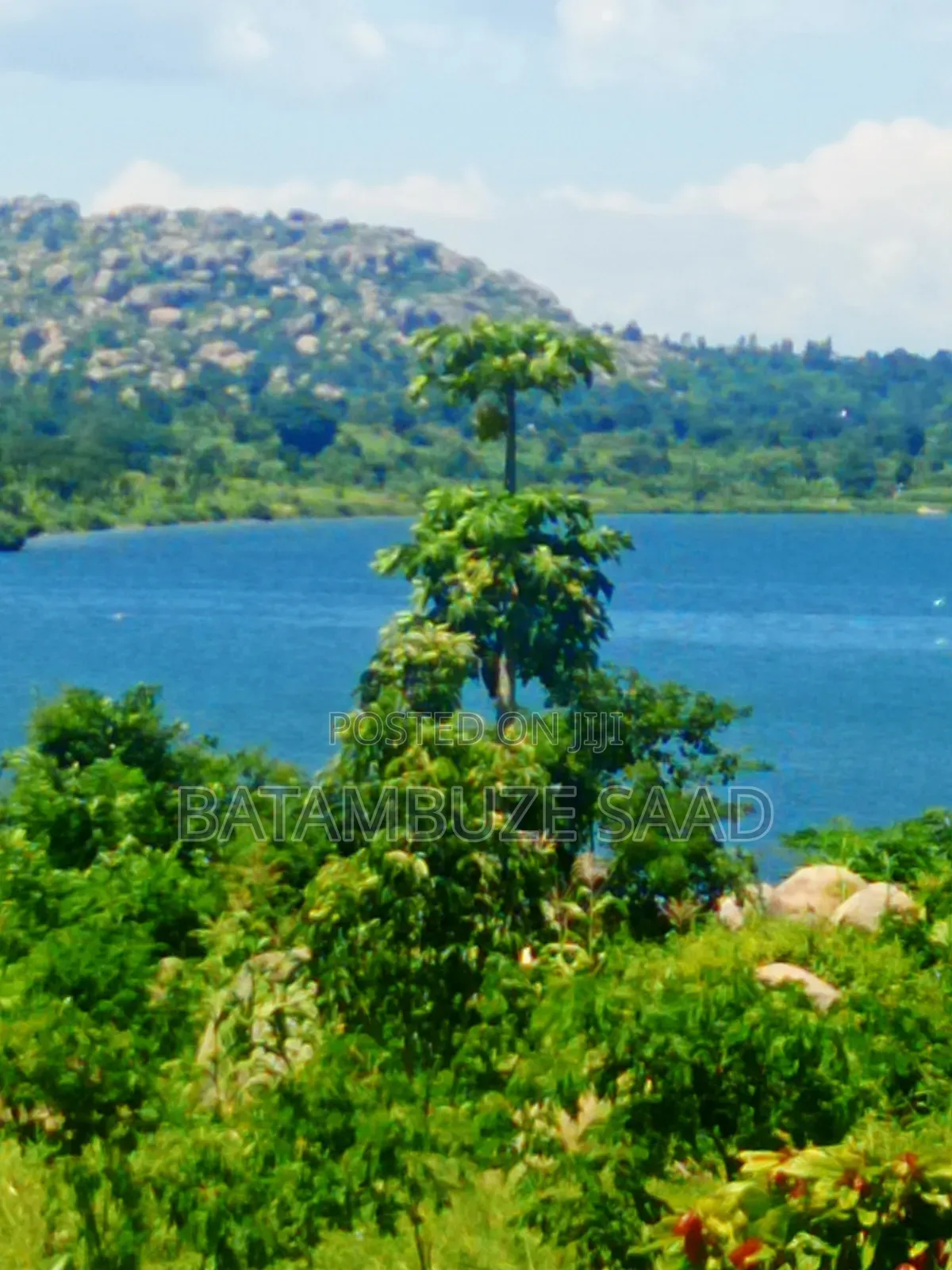 15 Acres of Farm Land on Lake Victoria Shores in Mayuge