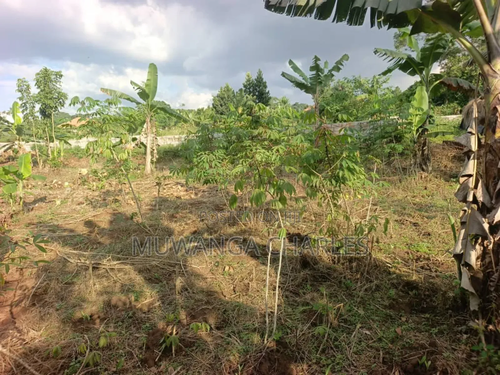 Plots on Sale in Kira Nsasa Phase 1 in Kira