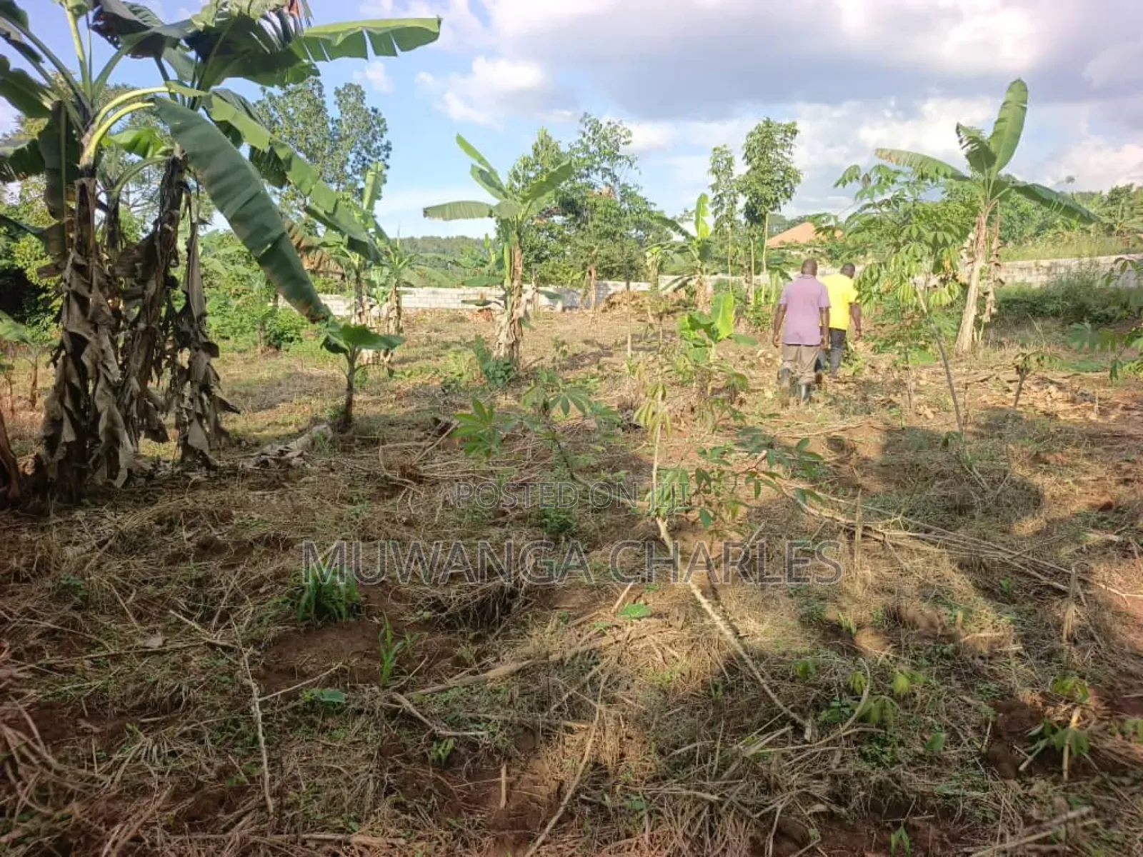 Plots on Sale in Kira Nsasa Phase 1 in Kira