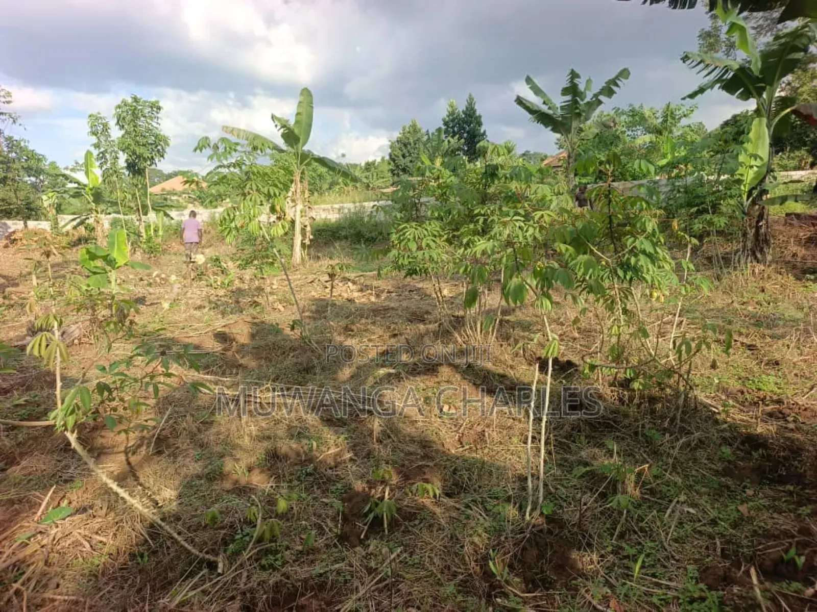 Plots on Sale in Kira Nsasa Phase 1 in Kira