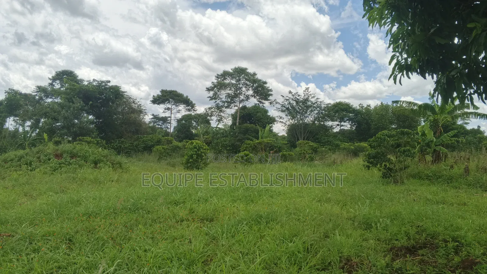 Kibanja Plot Available Kikandwa Mukono Kayunga Road in Kasawo