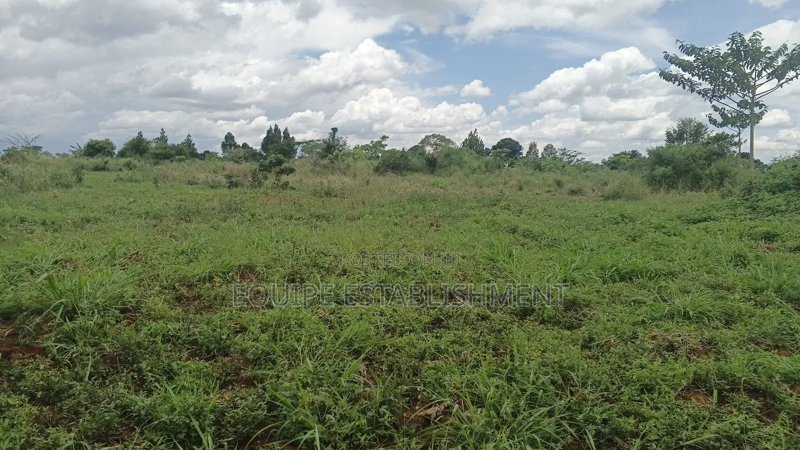 Kibanja Plot Available Kikandwa Mukono Kayunga Road in Kasawo