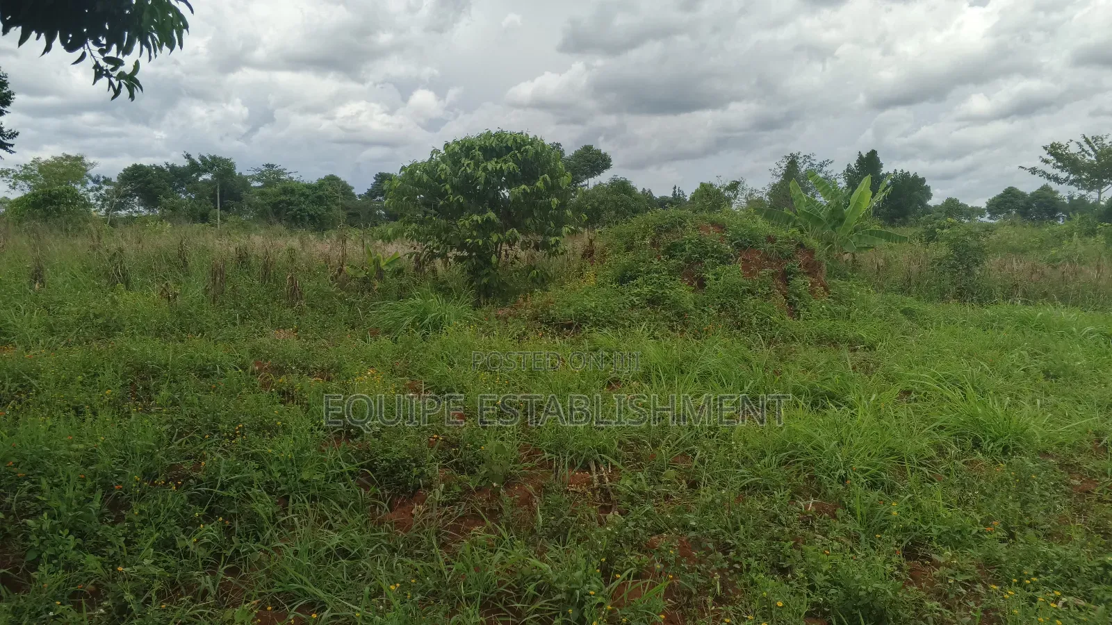 Kibanja Plot Available Kikandwa Mukono Kayunga Road in Kasawo