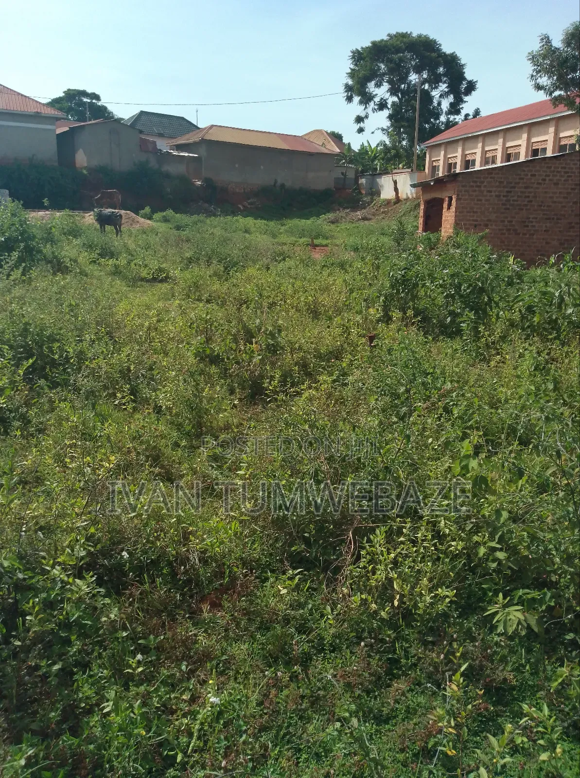 Plot for Sale in Kawuku Entebbe Road 50/100ft. Lake View in Central Division