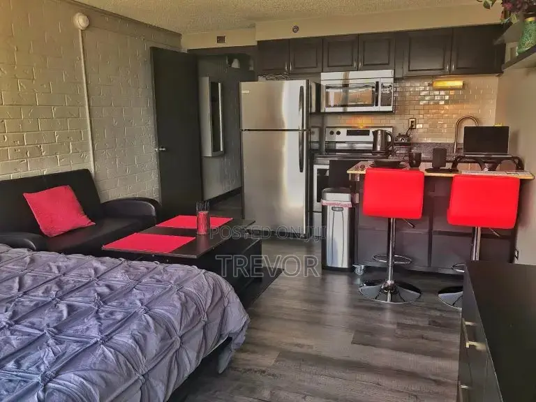 Executive Furnished Studio Apartments Available In Kampala in Nakawa