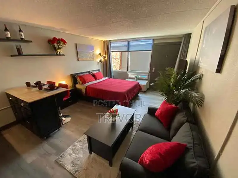 Executive Furnished Studio Apartments Available In Kampala in Nakawa