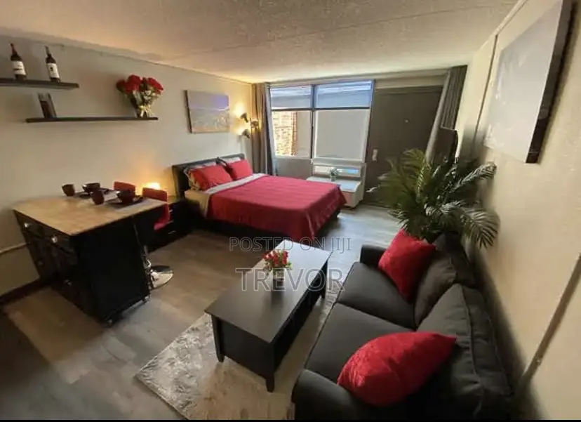 Executive Furnished Studio Apartments Available In Kampala in Nakawa