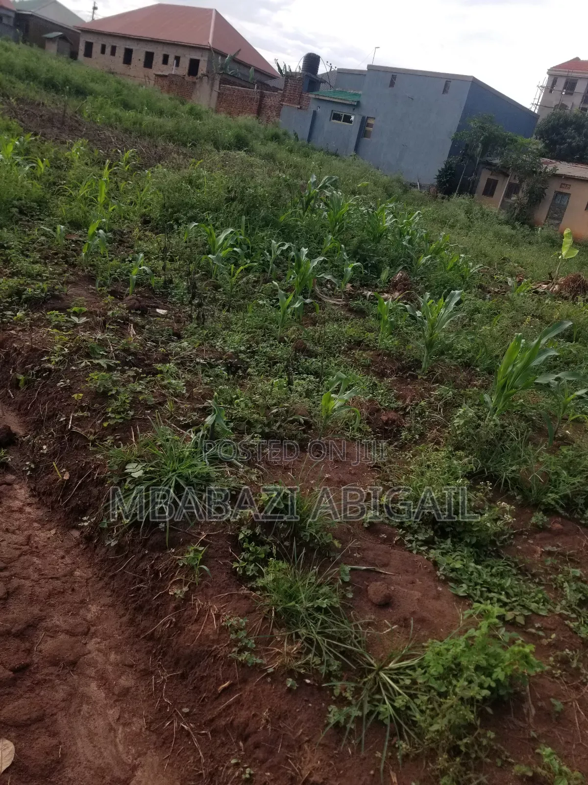 Land Plots 1/2 Hectare in Wakiso / Wakiso