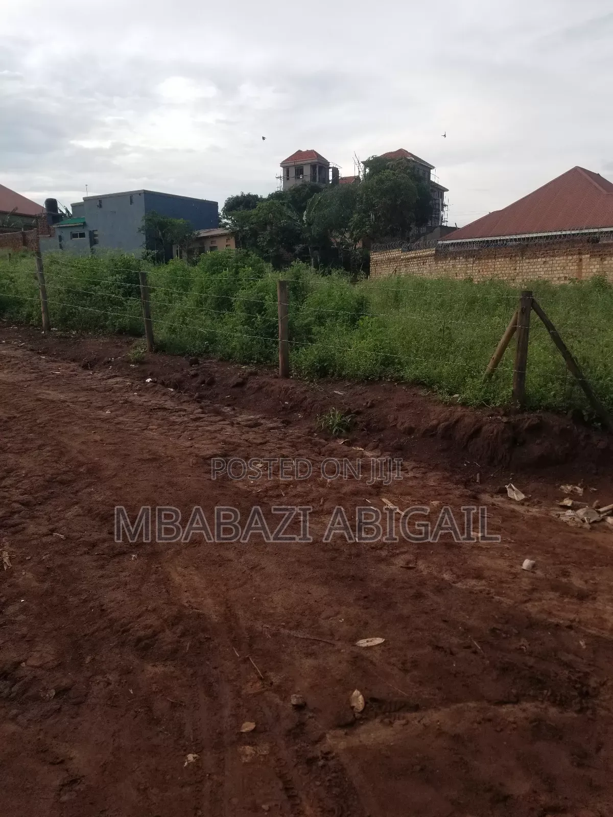 Land Plots 1/2 Hectare in Wakiso / Wakiso