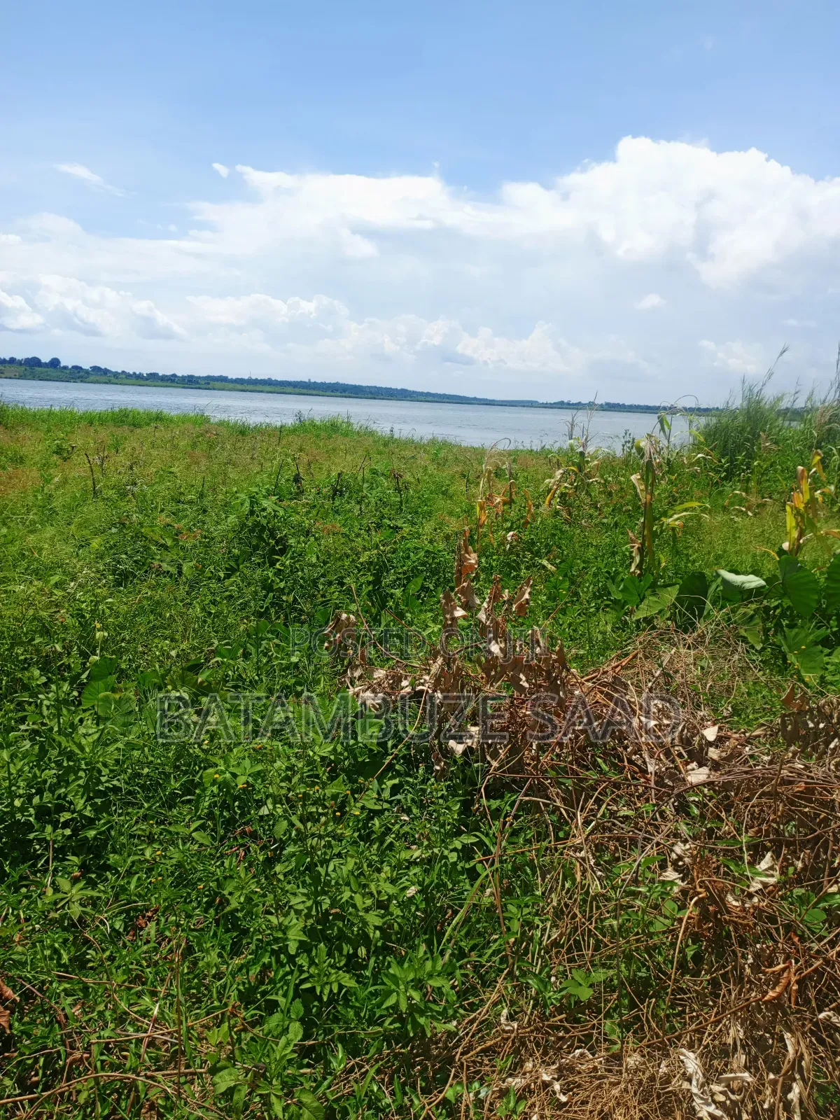 20 Acres 0f Farm Land on the Shores of Lake Victoria in Mayuge