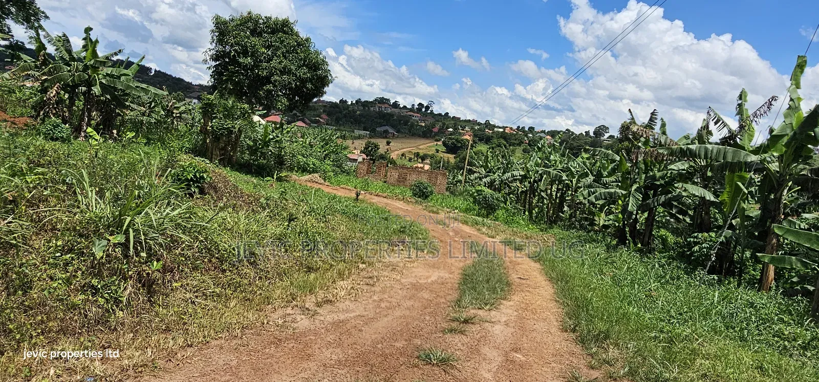 Hot Plot for Sale at Wakiso - Nkowe Mubango in Wakiso / Wakiso