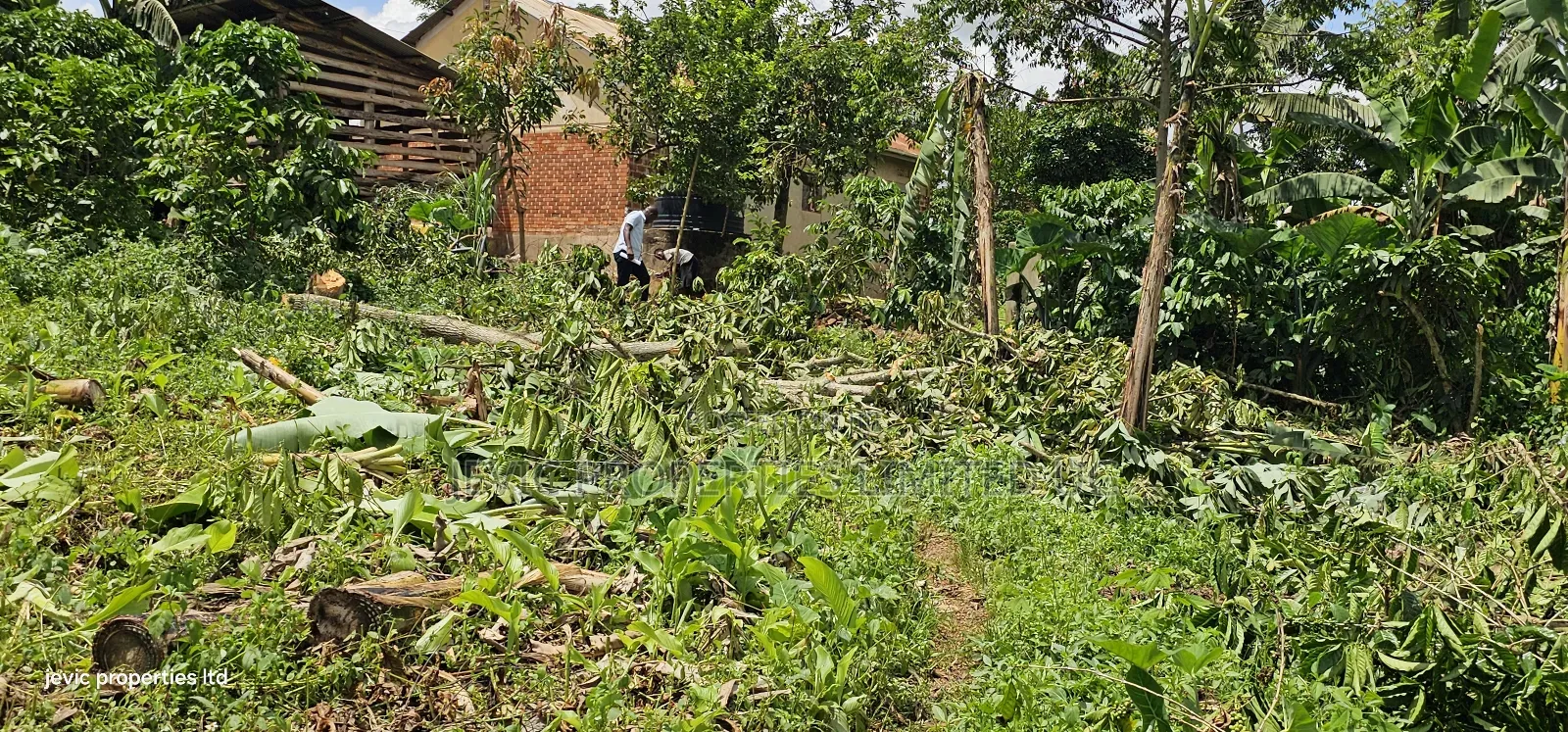 Wakiso Plots on Hot Sale - Hoima Road in Wakiso / Wakiso