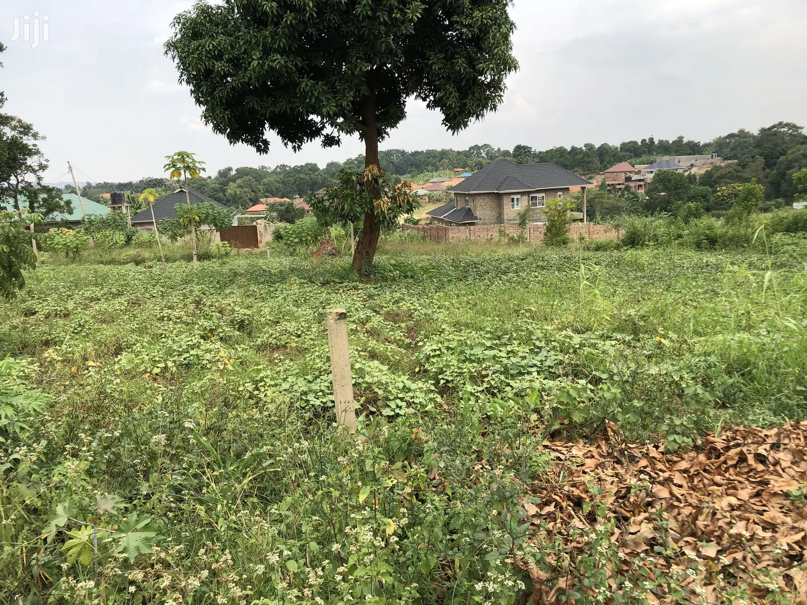 Kira Kimwani 25 Decimals Near Tarmack Beautiful Land on Sell in Kampala