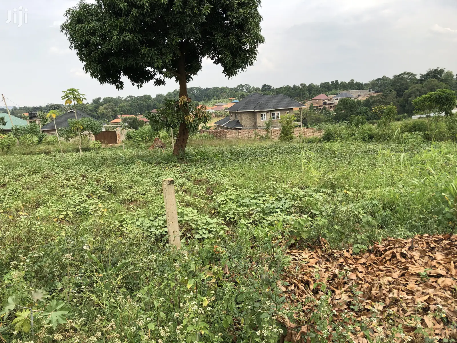 Kira Kimwani 25 Decimals Near Tarmack Beautiful Land on Sell in Kampala