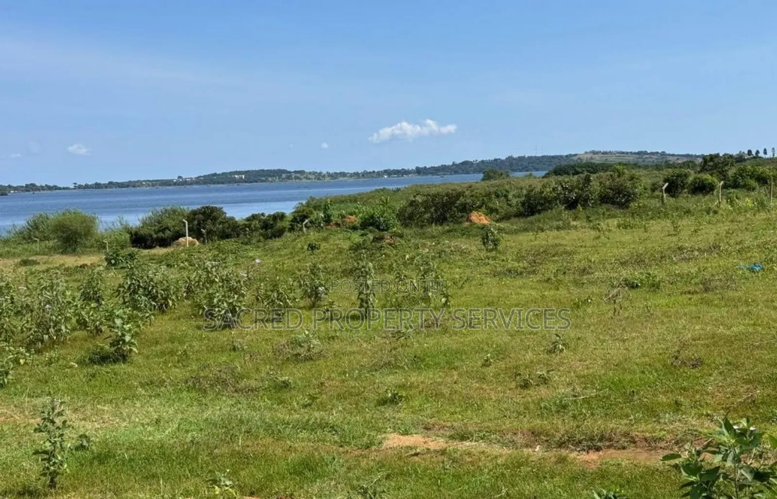 Tittled Land 50ft by 100ft in Wakiso / Wakiso