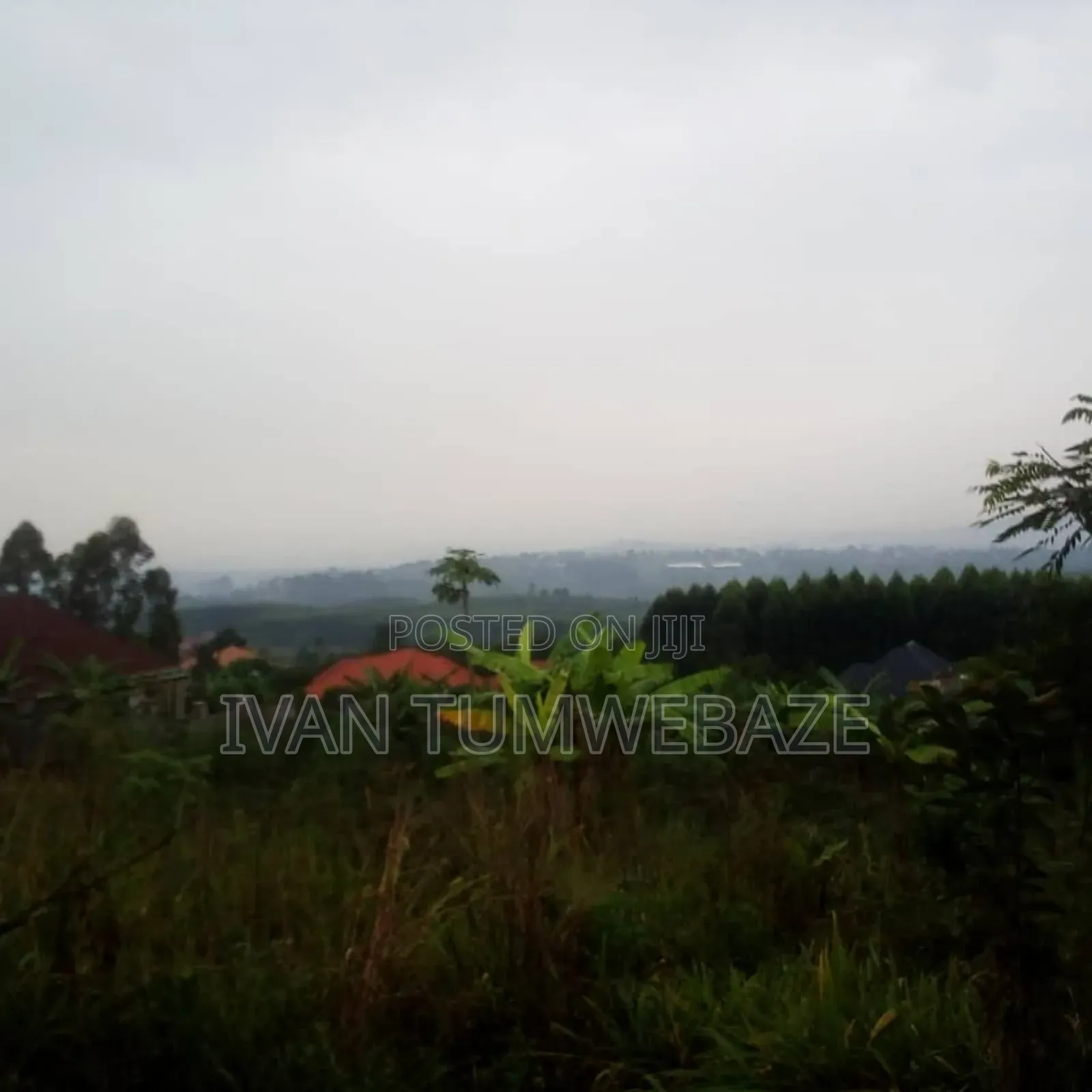 Tittled Plot 50/100ft for Sale in Bujuko Mityana Road in Central Division