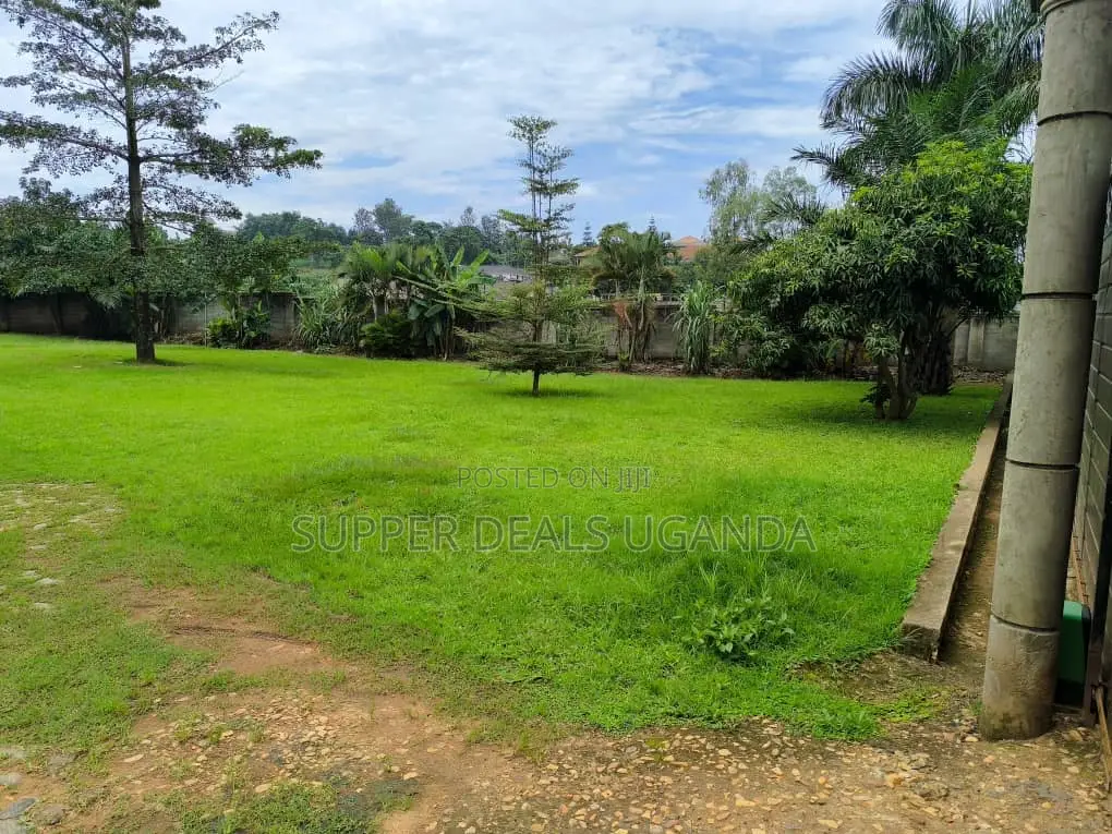 3bdrm Bungalow in Buwate, Nakawa for rent in Nakawa