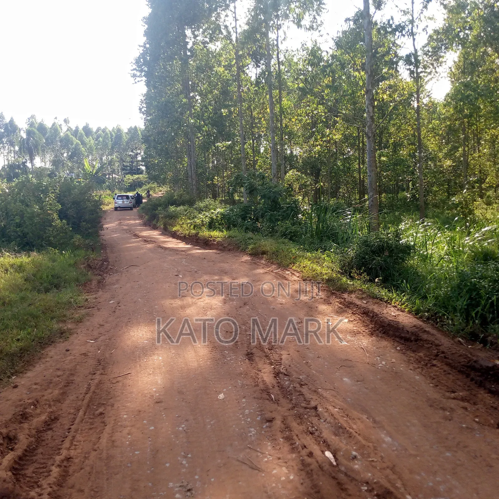 12 Acres for Sale Located at Mukono Mbalala in Mukono TC