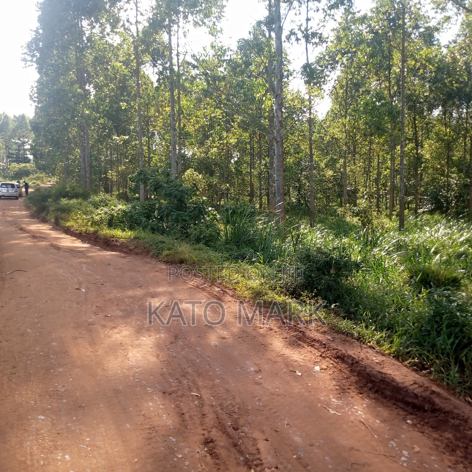 12 Acres for Sale Located at Mukono Mbalala in Mukono TC