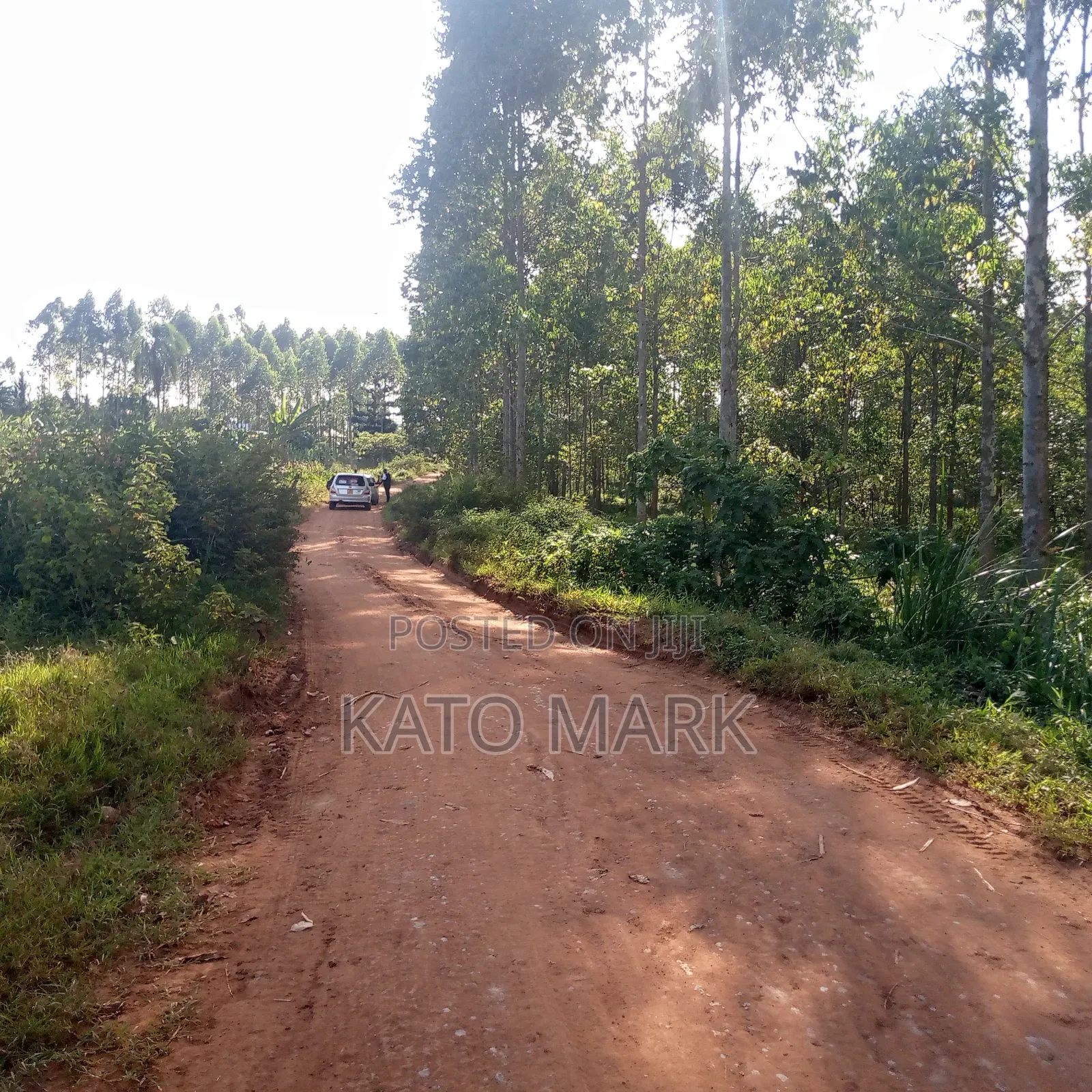 12 Acres for Sale Located at Mukono Mbalala in Mukono TC