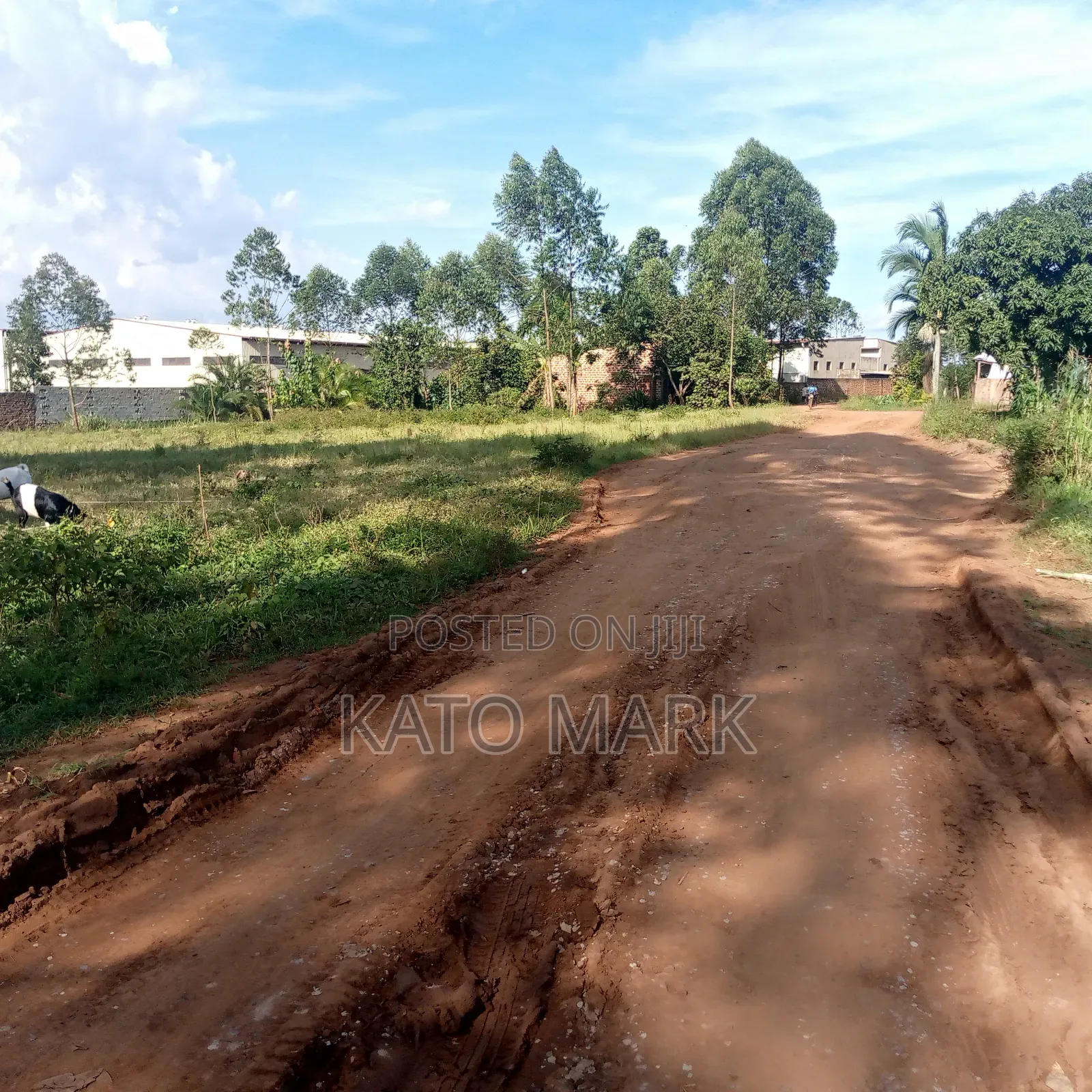 12 Acres for Sale Located at Mukono Mbalala in Mukono TC