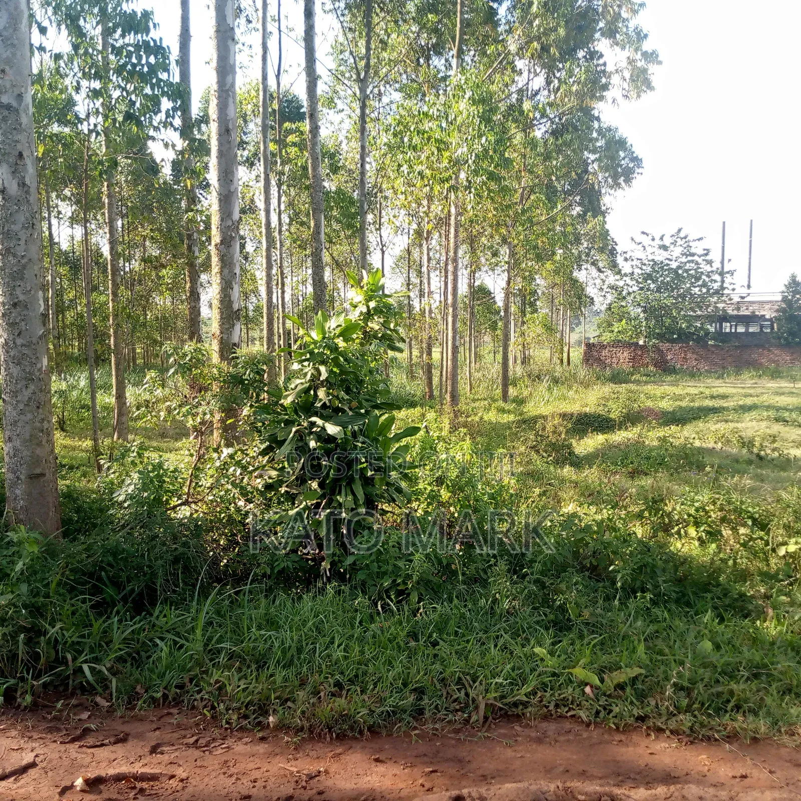 12 Acres for Sale Located at Mukono Mbalala in Mukono TC
