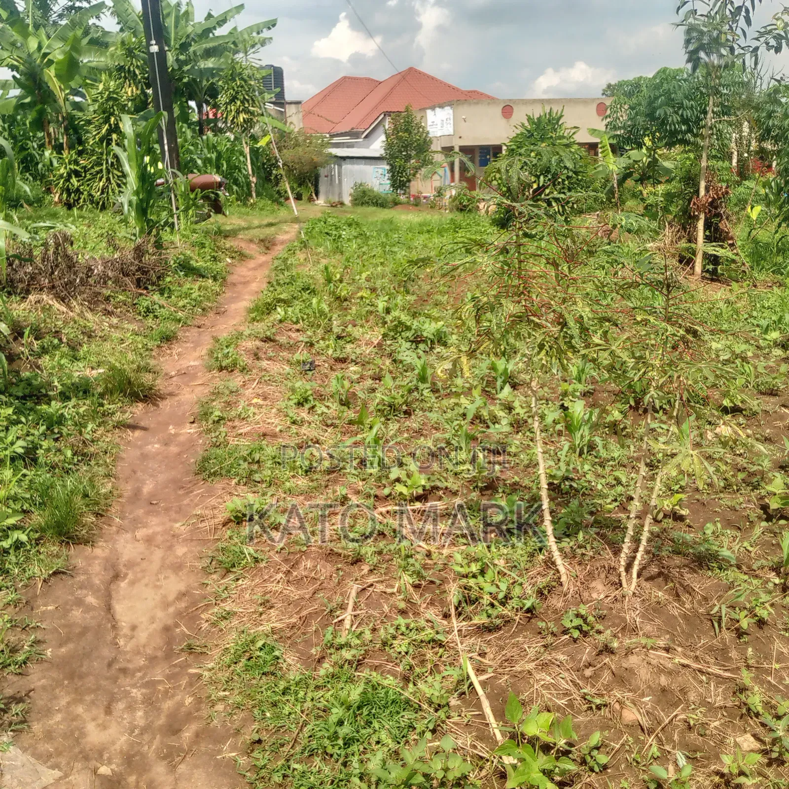 100ftby100ft Plot for Sale Located at Mukono Kabembe in Mukono TC