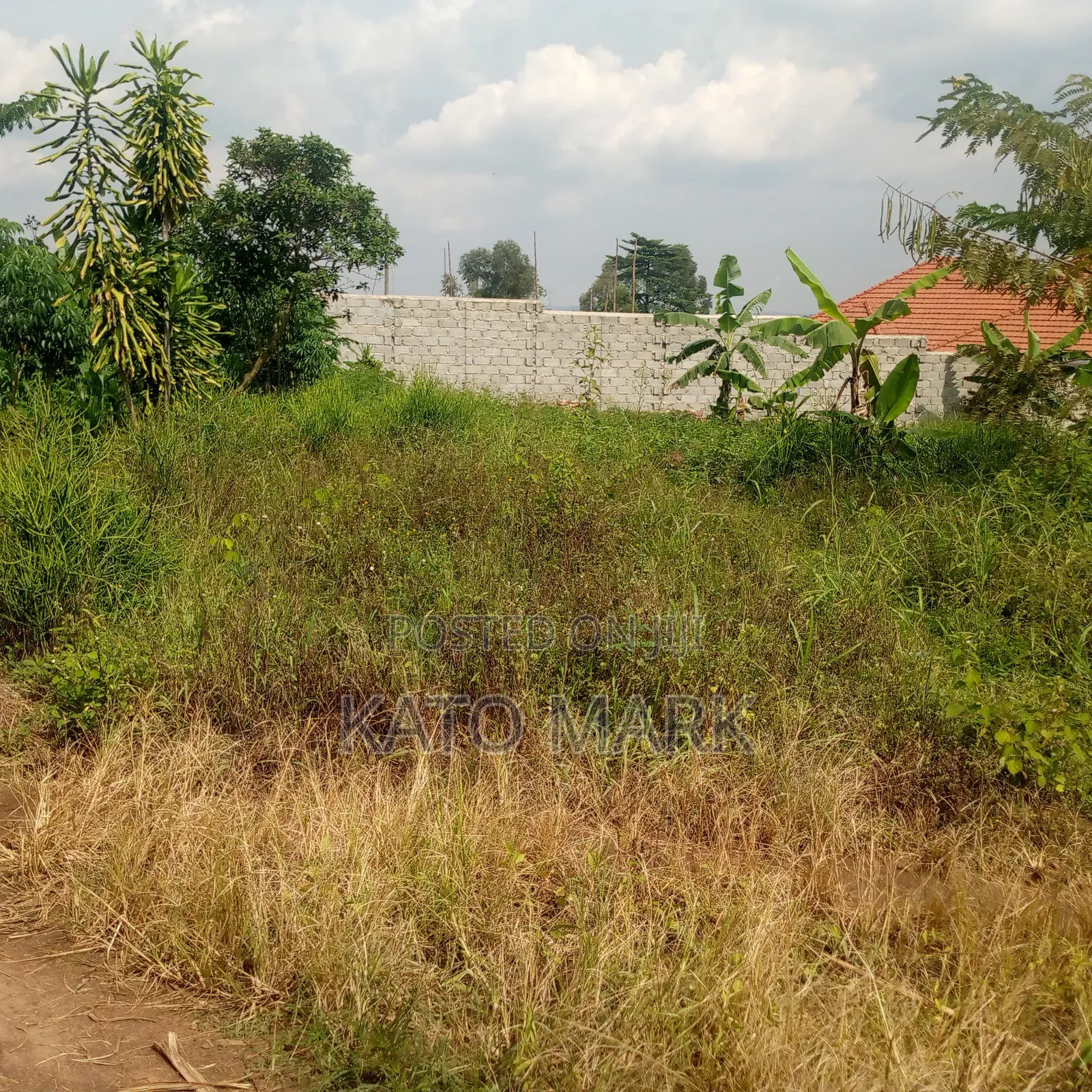 100ftby100ft Plot for Sale Located at Mukono Kabembe in Mukono TC