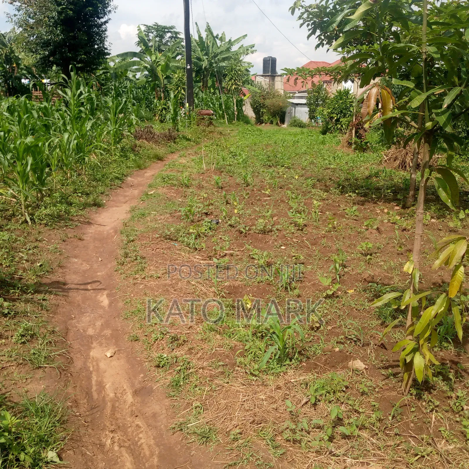 100ftby100ft Plot for Sale Located at Mukono Kabembe in Mukono TC
