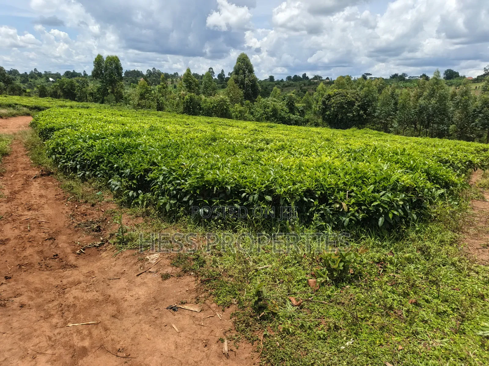 2.5acres of Land on Sale Located in Nyamabuga in Kyenjojo