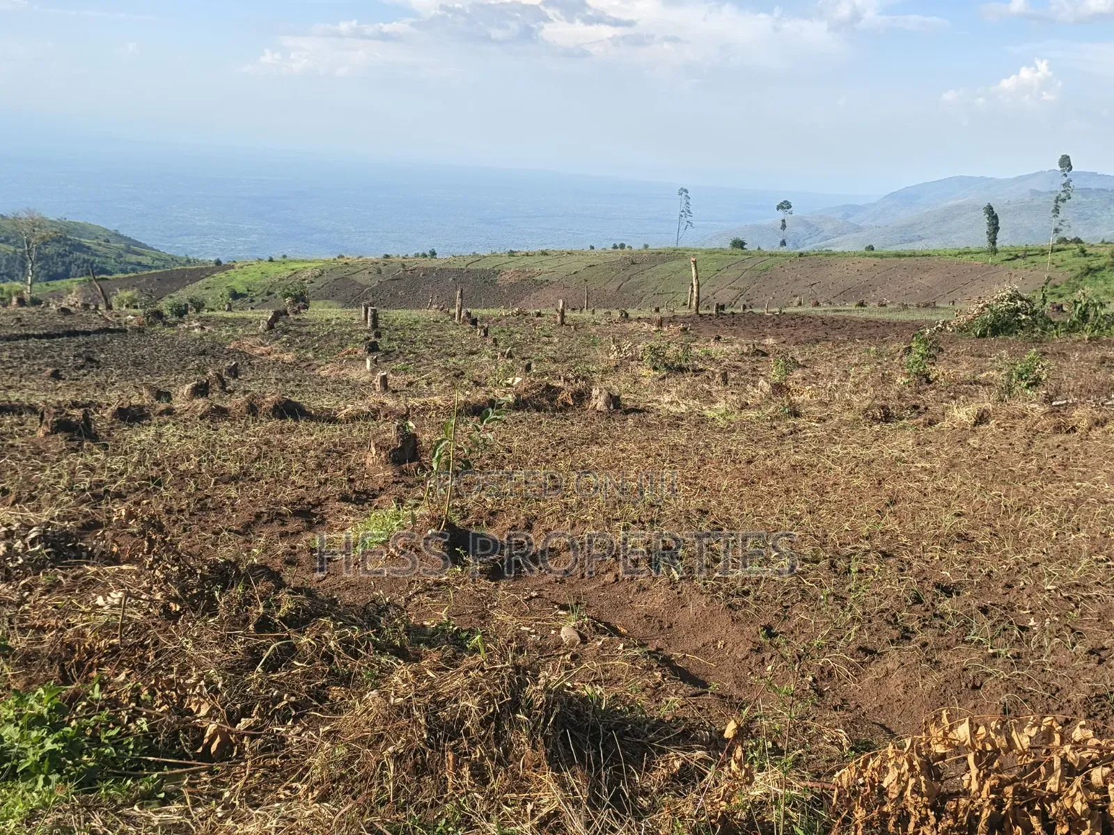 60acres of Land on Sale Located in Kabarole in Kabalore