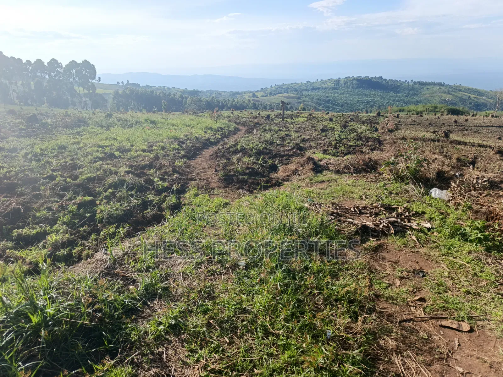 60acres of Land on Sale Located in Kabarole in Kabalore