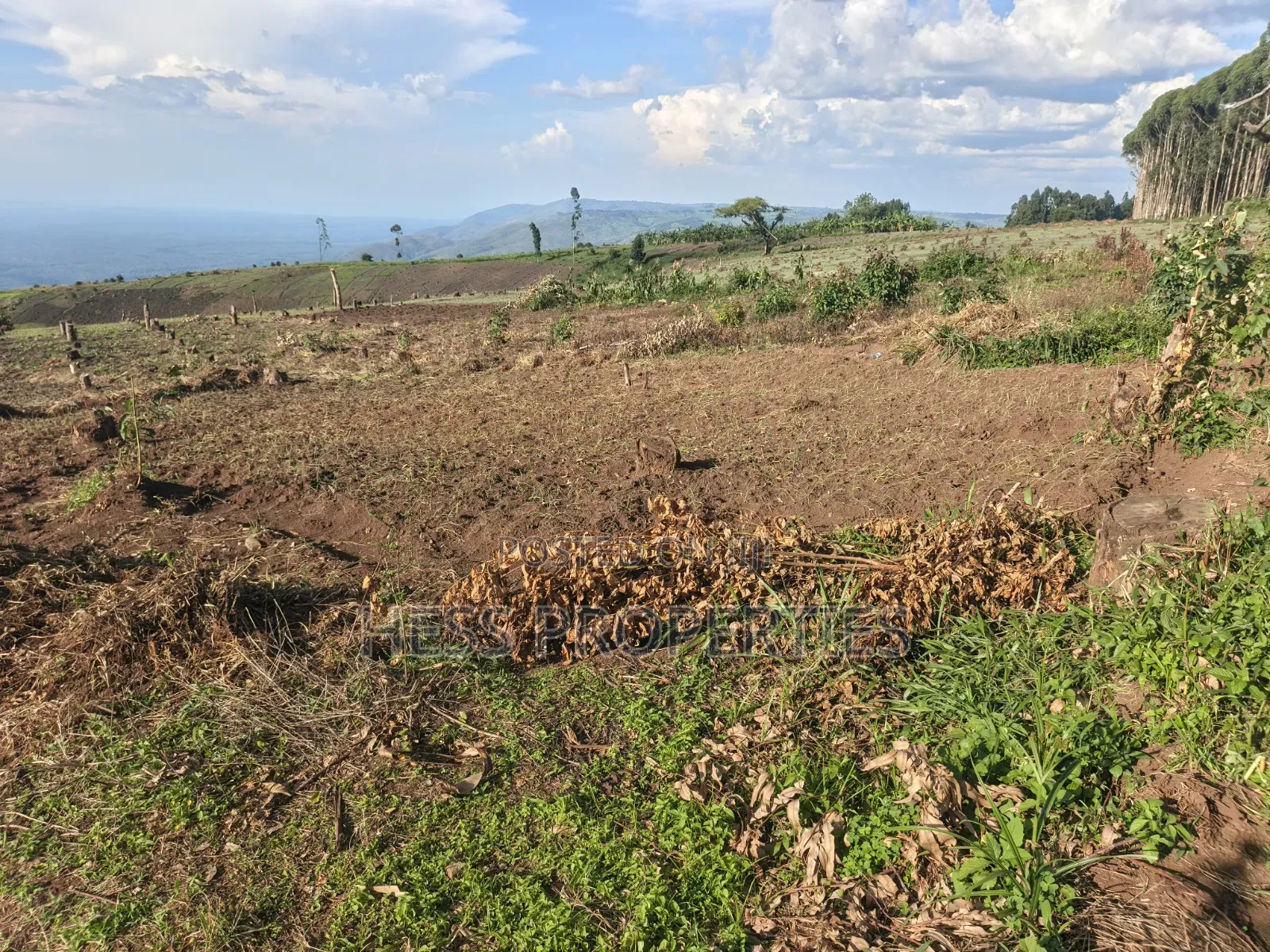 60acres of Land on Sale Located in Kabarole in Kabalore