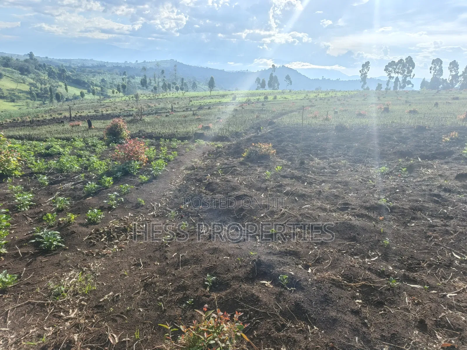 60acres of Land on Sale Located in Kabarole in Kabalore