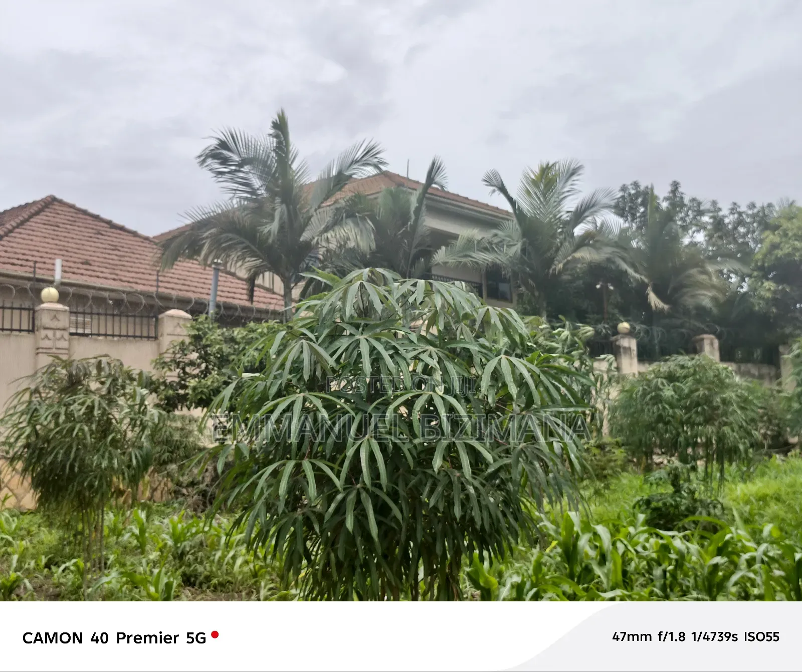 Plot for Sale Kira in Central Division