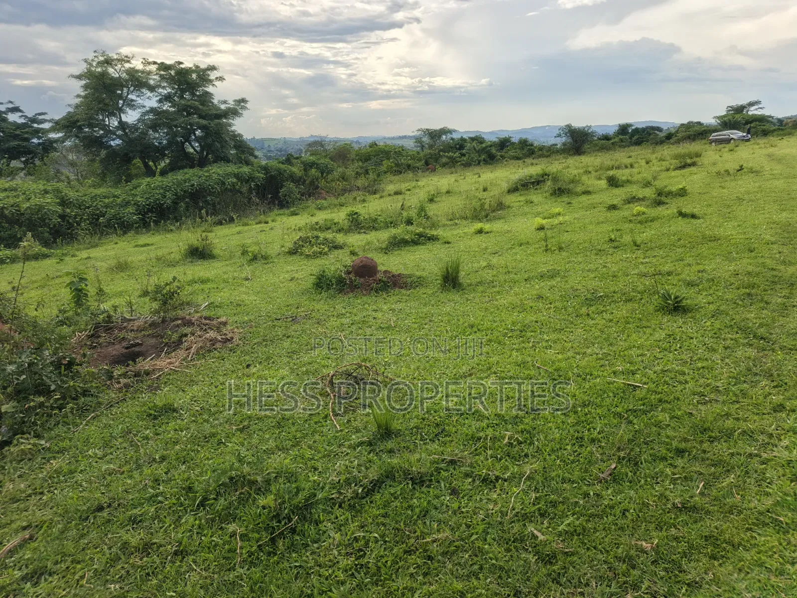 Farmland Seat on 175acres on Sale in Kyenjojo District in Kyenjojo