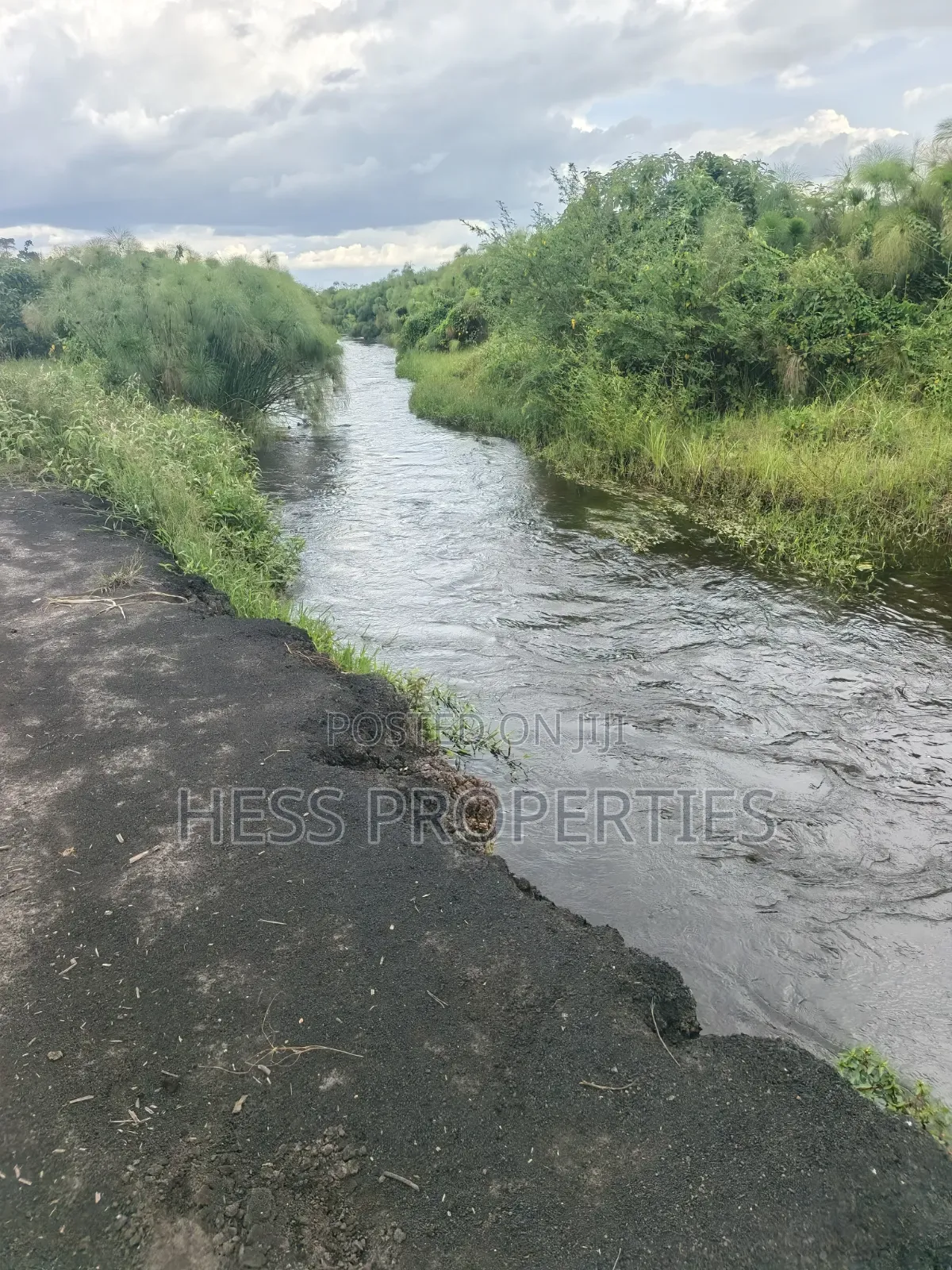 Farmland Seat on 175acres on Sale in Kyenjojo District in Kyenjojo