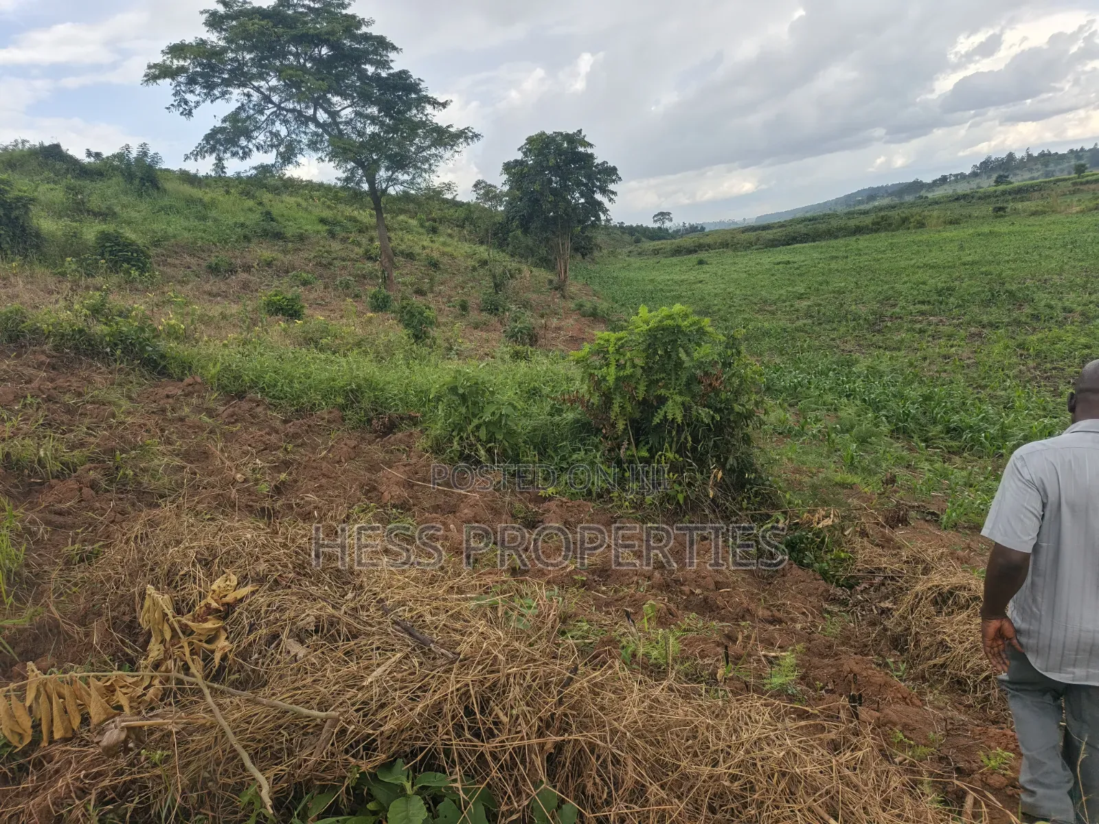 Farmland Seat on 175acres on Sale in Kyenjojo District in Kyenjojo