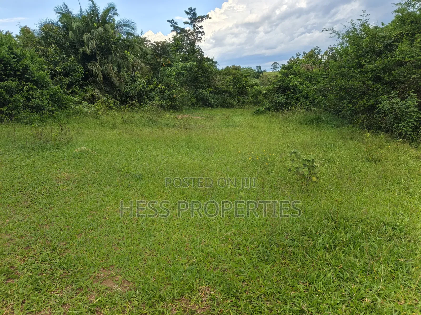 Farmland Seat on 175acres on Sale in Kyenjojo District in Kyenjojo