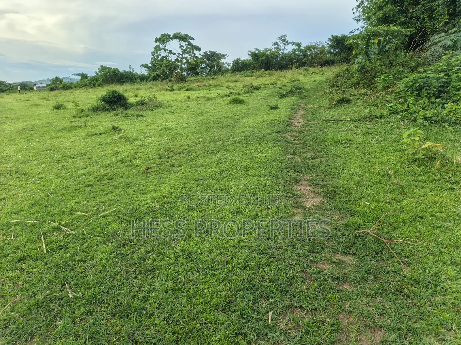 Farmland Seat on 175acres on Sale in Kyenjojo District in Kyenjojo