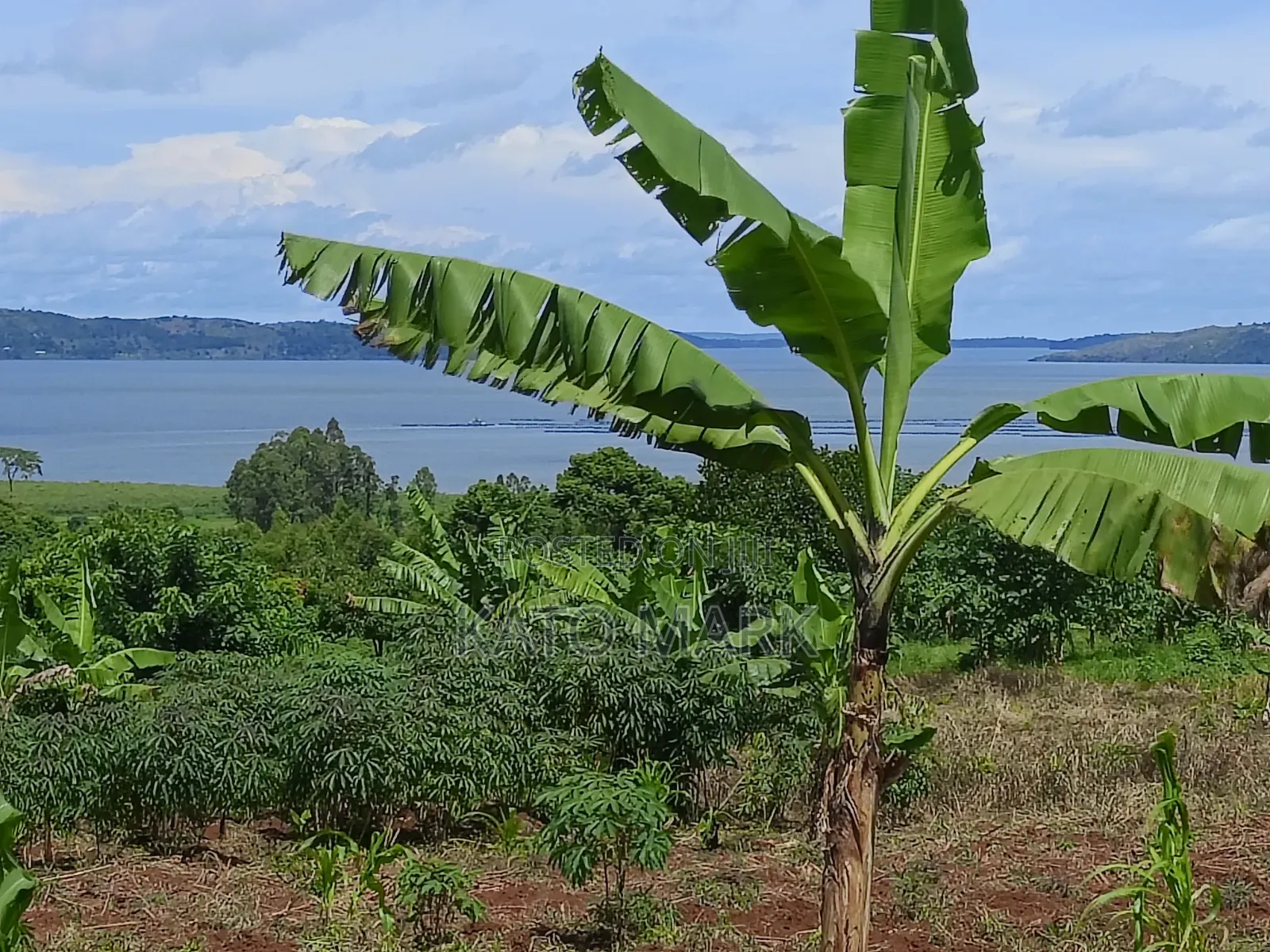 2 Acres Lake View for Sale at Mukono Buwoya 35m Per in Mukono TC