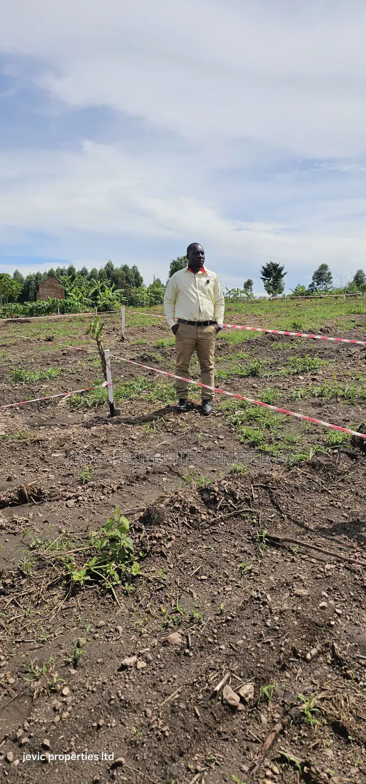 Namayumba Town View Agreement Plots for Sale Along Hoima Road in Namayumba