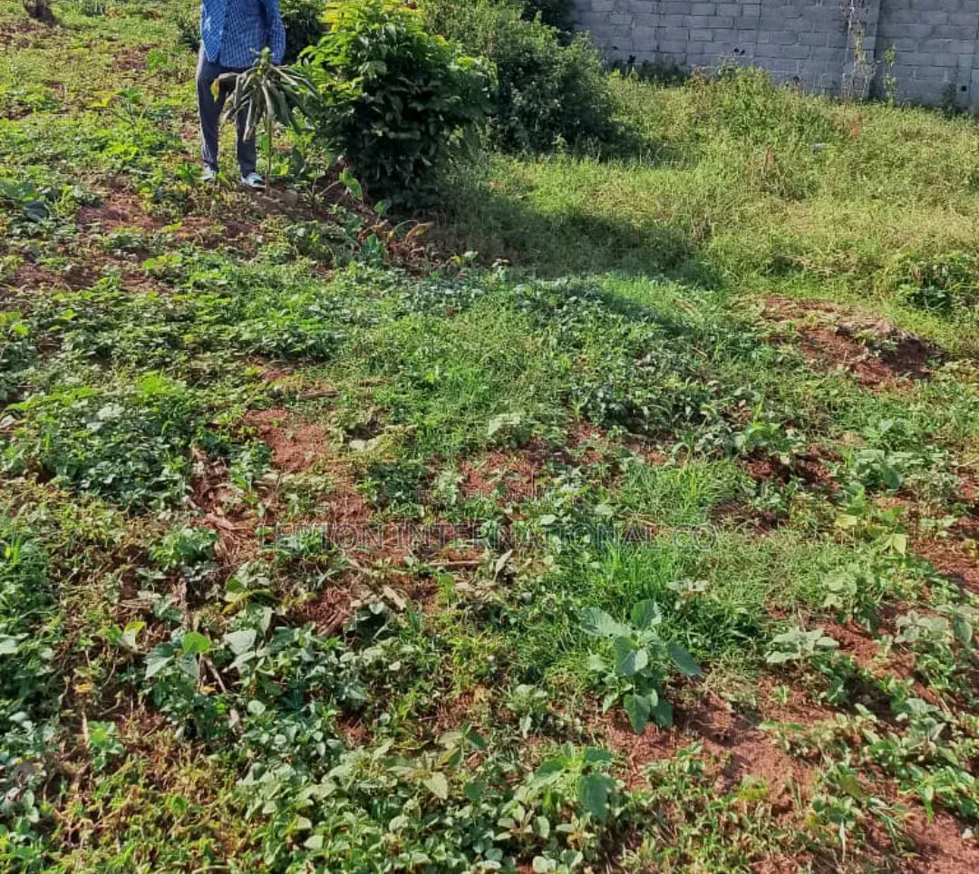 100 × 100 in Kira Namugongo for Sale With a Ready Title in Central Division