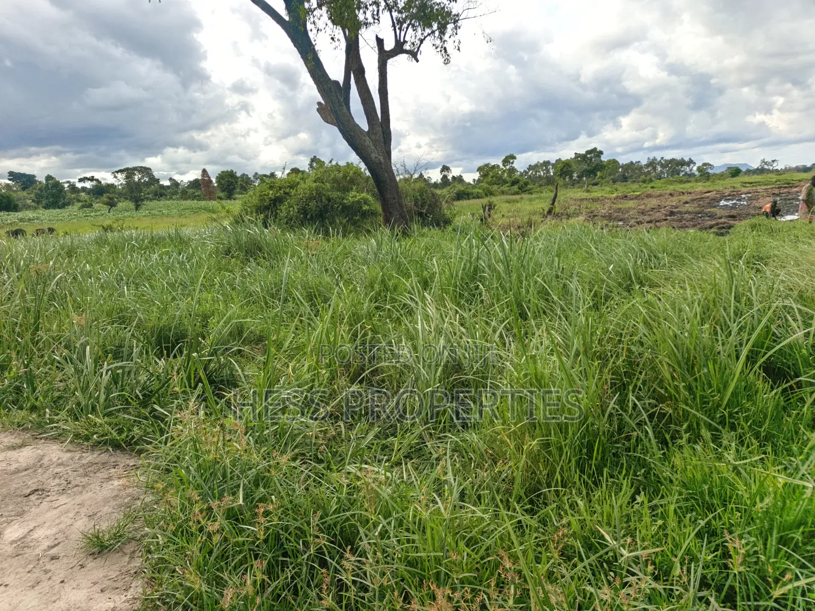 Agricultural on Sale in Hoima