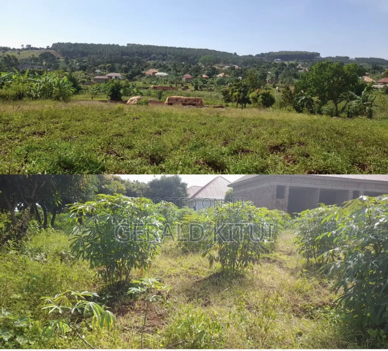Land on a Quick Sale in a Strategic Area in Jinja
