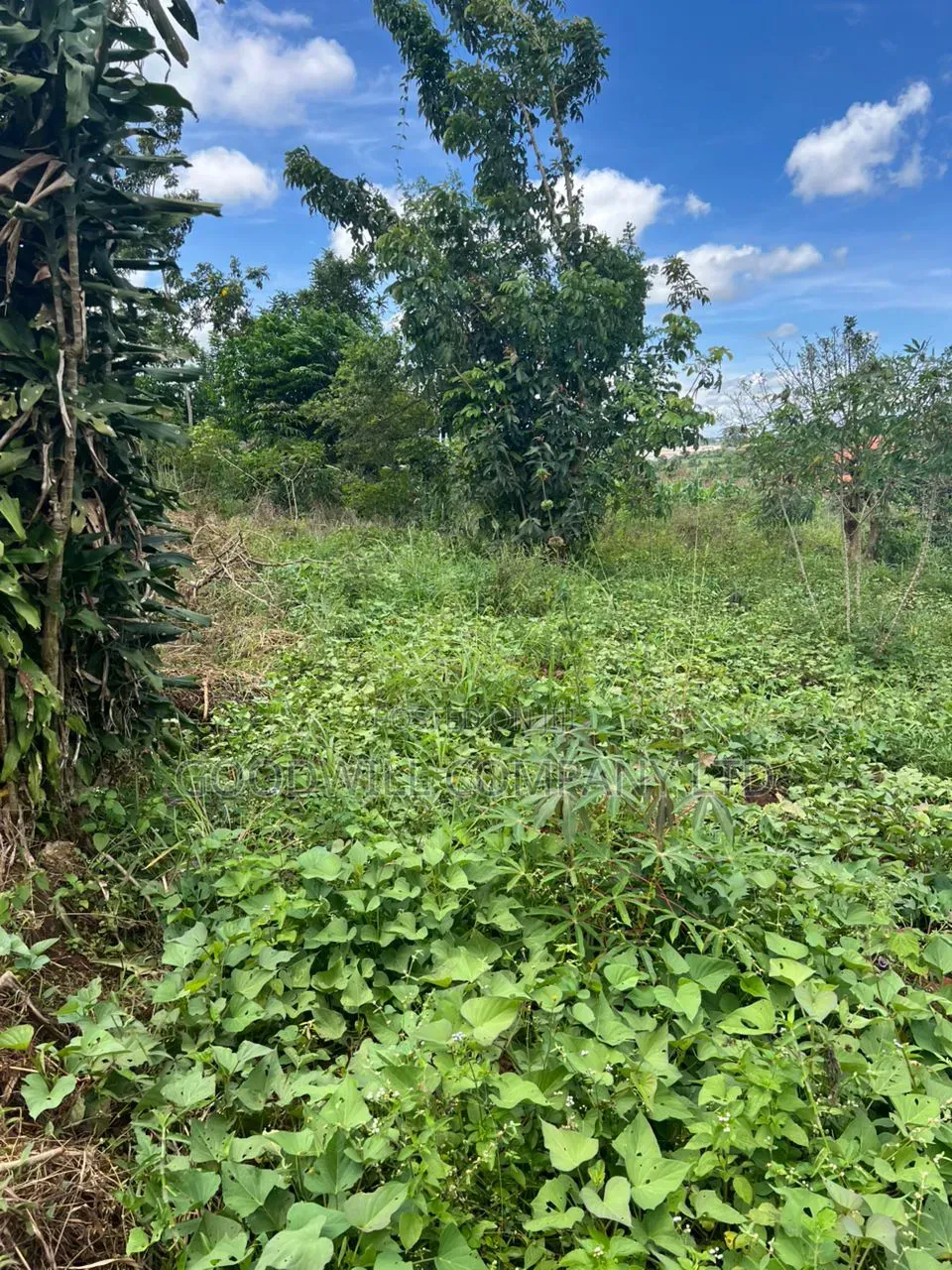 1 Acre of Land in Kitukutwe 700mtr Off Tarmac in Central Division