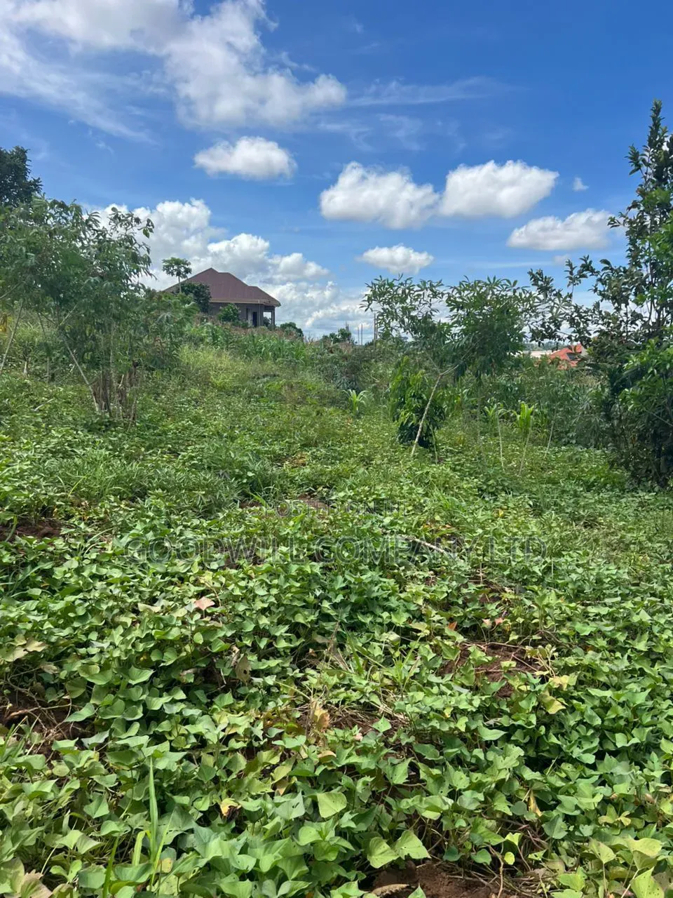 1 Acre of Land in Kitukutwe 700mtr Off Tarmac in Central Division